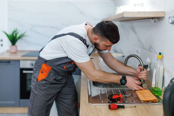 Best Plumbing Inspection Services  in Mount Pulaski, IL