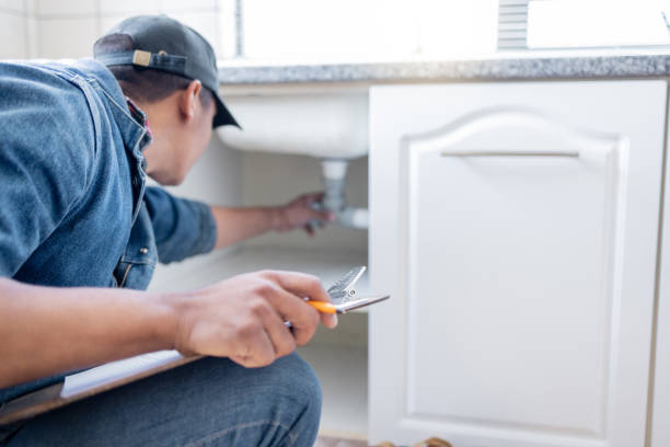 Best Gas Line Repair  in Mount Pulaski, IL