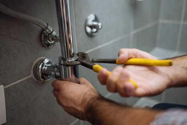 Best Septic Systems  in Mount Pulaski, IL